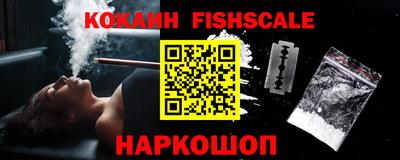 прущие грибы Абакан