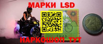 прущие грибы Абакан