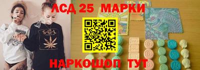 прущие грибы Абакан