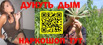 прущие грибы Абакан