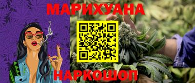 прущие грибы Абакан