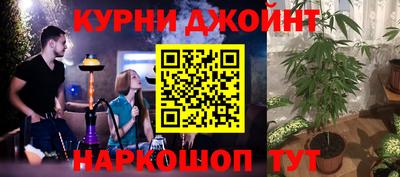 прущие грибы Абакан