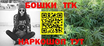 прущие грибы Абакан