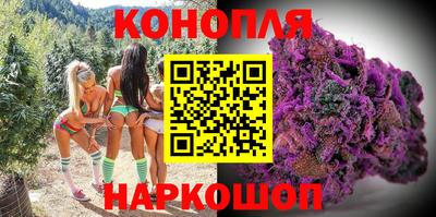 прущие грибы Абакан