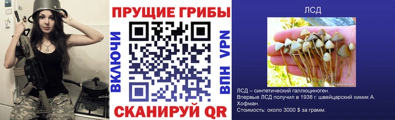 hydra как зайти  цены наркотик  Анапа  Псилоцибиновые грибы прущие грибы 