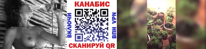 Конопля OG Kush дарнет шоп ОМГ ОМГ ссылка Анапа